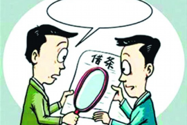 连平为什么选择专业追讨公司来处理您的债务纠纷？